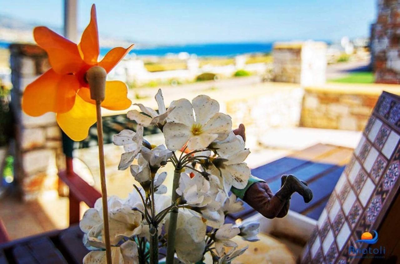 Gregos House Villa Andiparos Exterior photo